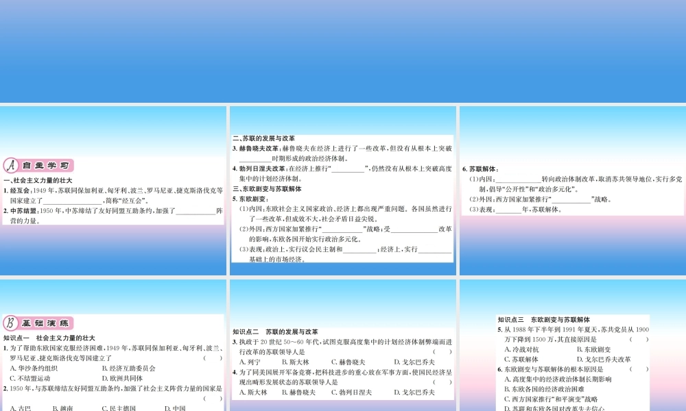 九年级历史下册 第5单元 冷战和美苏对峙的世界 第18课 社会主义的发展与挫折作业课件 新人教版 课件