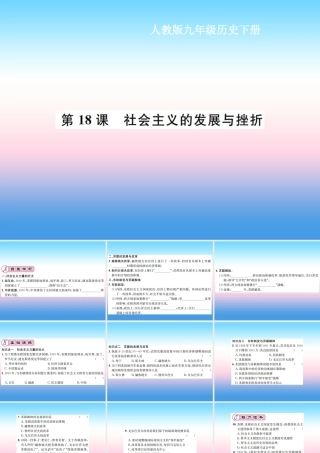 九年级历史下册 第5单元 冷战和美苏对峙的世界 第18课 社会主义的发展与挫折作业课件 新人教版 课件