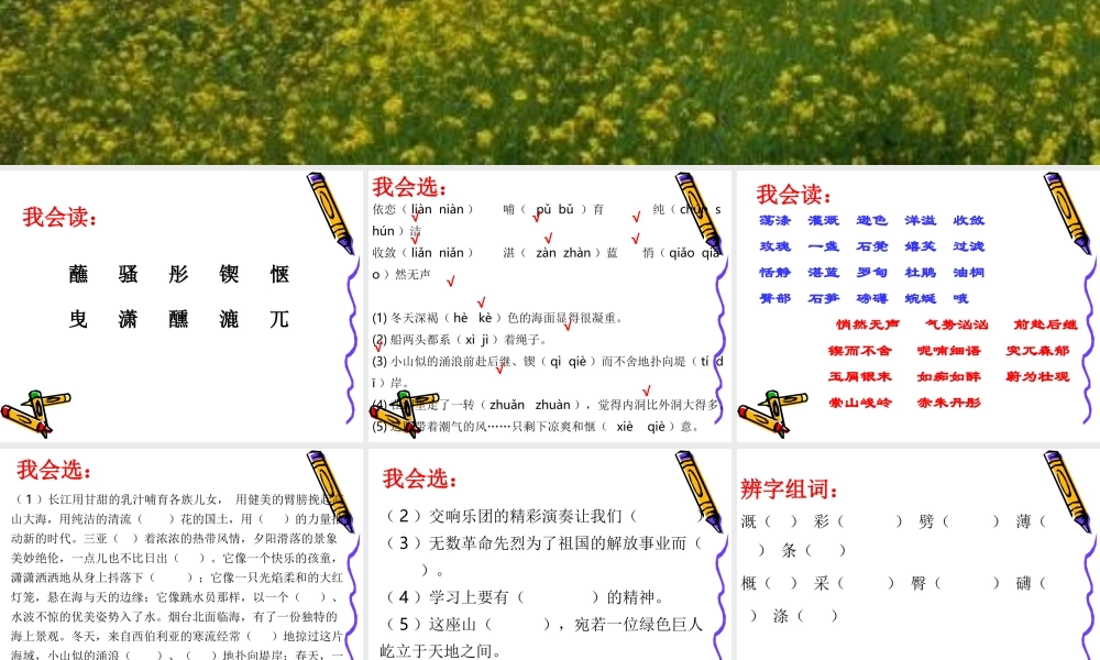 l六年级第一单元复习(一)