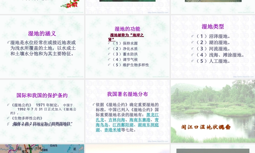 新课标 人教版生物综合实践课 湿地 课件