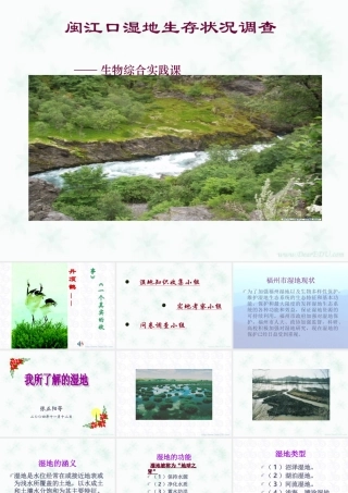 新课标 人教版生物综合实践课 湿地 课件