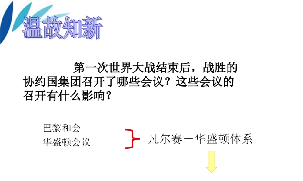 九年级历史下册 第四课经济大危机教学课件 人教新课标版 课件