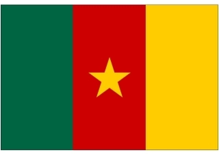 世界杯纸模：助威国旗(E4-喀麦隆)