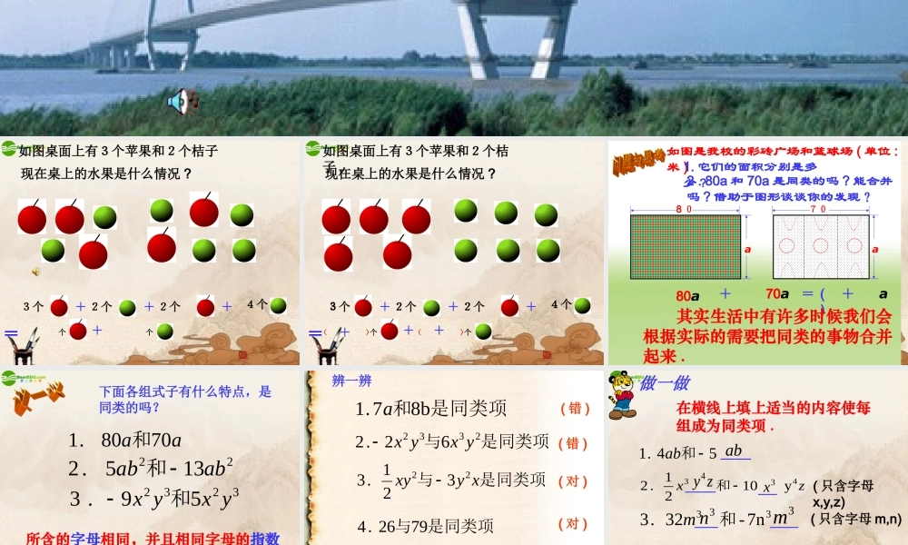 七年级数学上册(合并同类项)课件 苏科版 课件