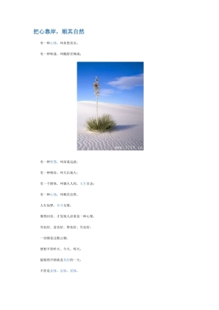 把心靠岸-顺其自然
