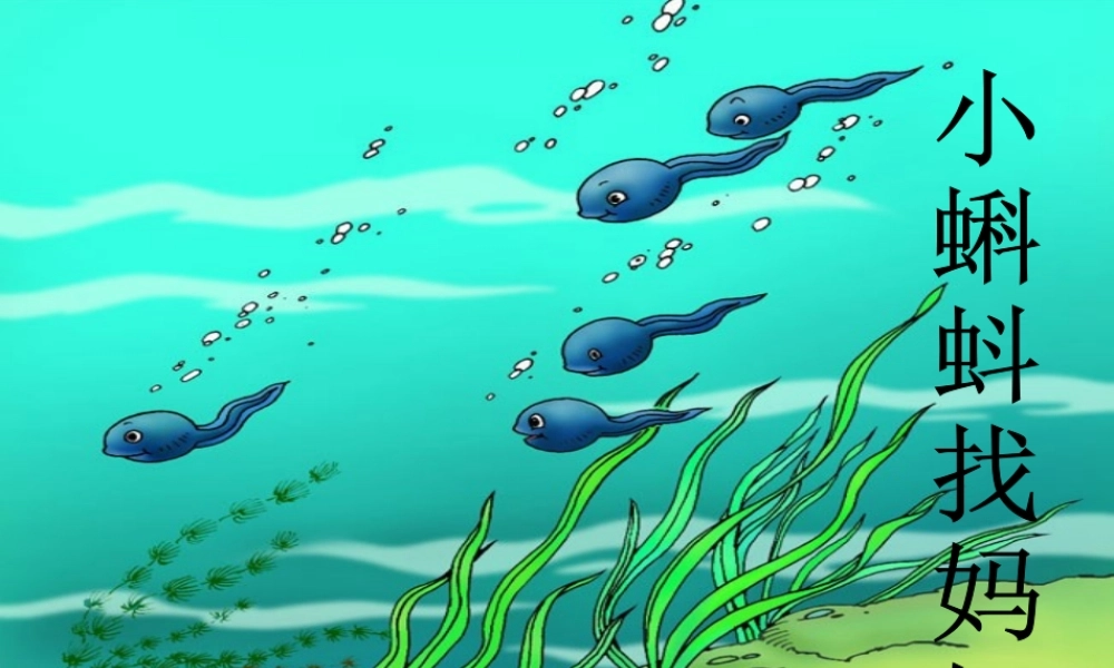 1小蝌蚪找妈妈-(2)