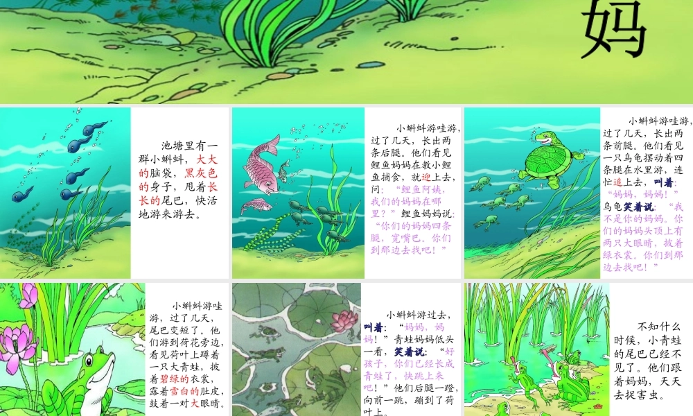 1小蝌蚪找妈妈-(2)