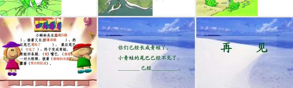 1小蝌蚪找妈妈-(2)