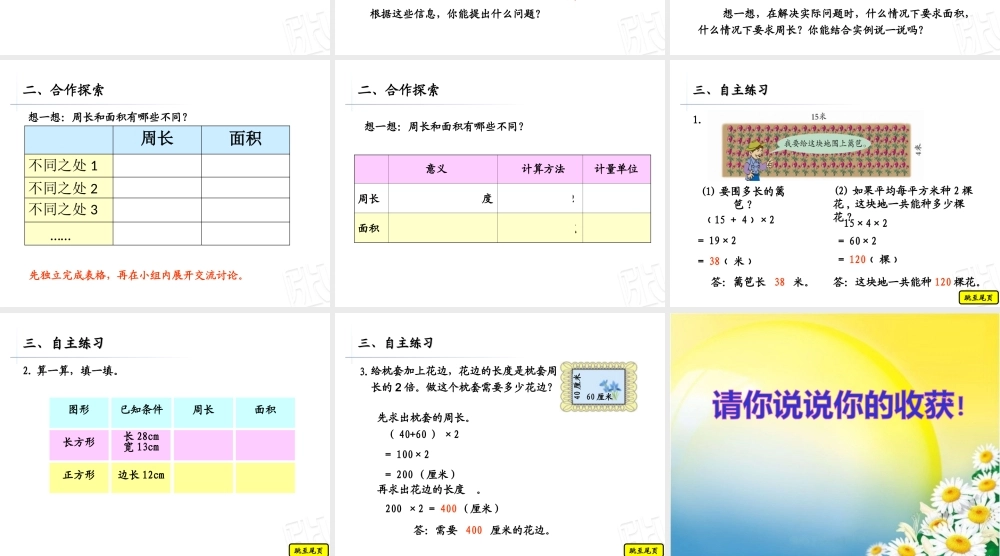 信息窗三(周长和面积的比较)