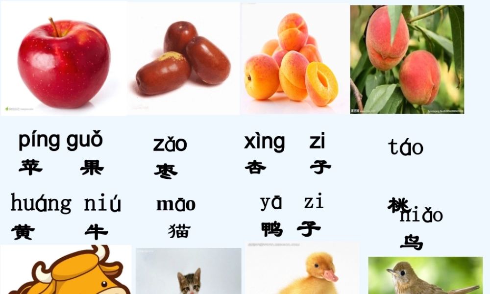 (部编)人教2011课标版一年级上册7.大小多少
