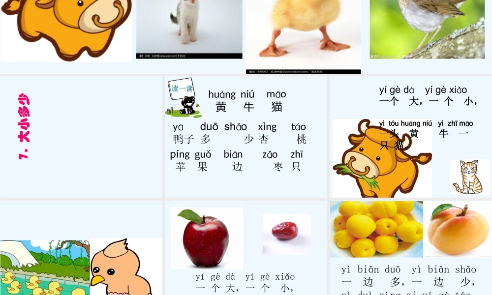 (部编)人教2011课标版一年级上册7.大小多少