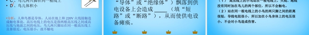 九年级物理全册 第十九章 第3节 安全用电课件2 (新版)新人教版 课件