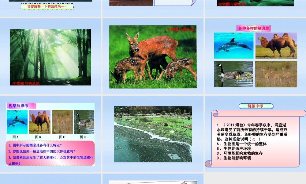 七年级生物上册 第一单元第三章第一节 生物圈与栖息地课件 济南版 课件