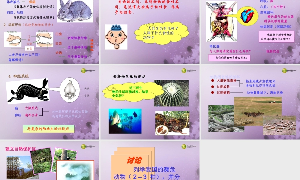 八年级生物上册(第五单元第一章 各种环境中的动物 陆地生活的动物1)课件 新人教版 课件