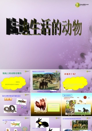 八年级生物上册(第五单元第一章 各种环境中的动物 陆地生活的动物1)课件 新人教版 课件