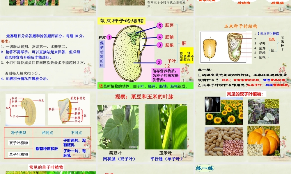 中学七年级生物上册 3.1.2 种子植物课件 (新版)新人教版 课件