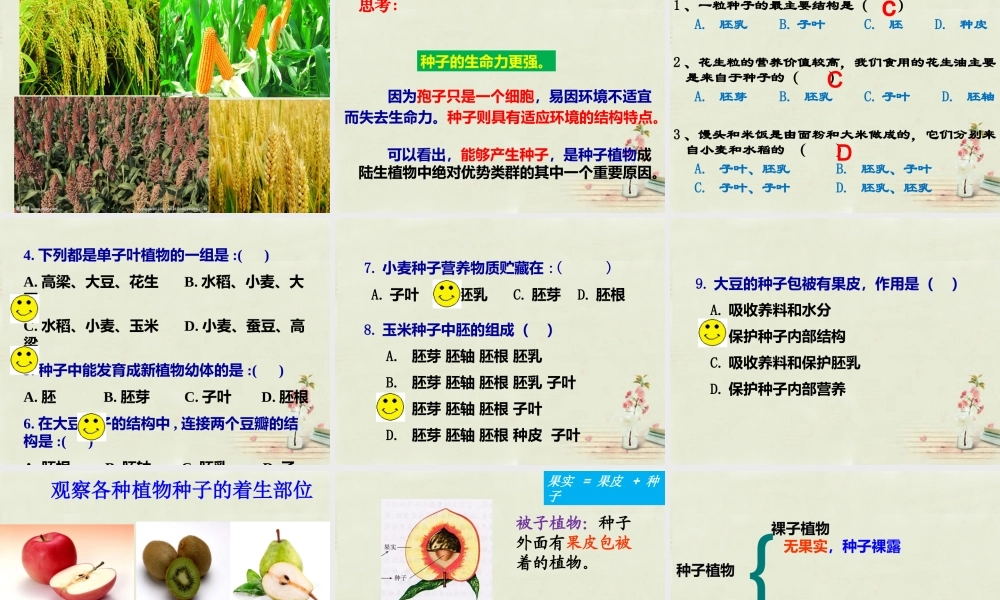 中学七年级生物上册 3.1.2 种子植物课件 (新版)新人教版 课件