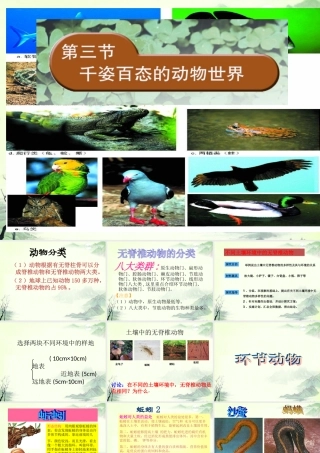 八年级生物下册 第22章第3节(千姿百态的动物世界)课件 苏教版 课件
