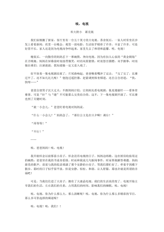 唉-电视docx