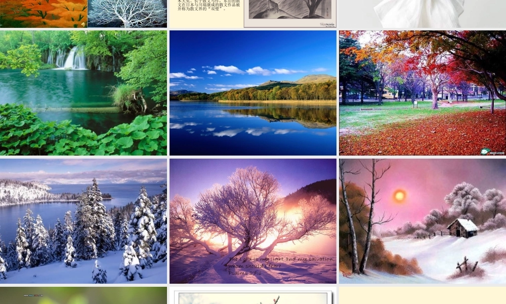 九年级语文上册 第8课(我们的风景)课件 鄂教版 课件