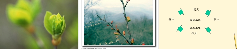 九年级语文上册 第8课(我们的风景)课件 鄂教版 课件