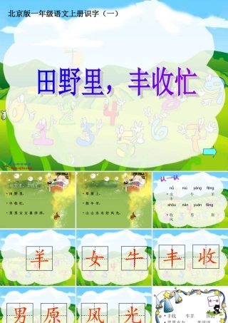 6.《田野里丰收忙》PPT课件