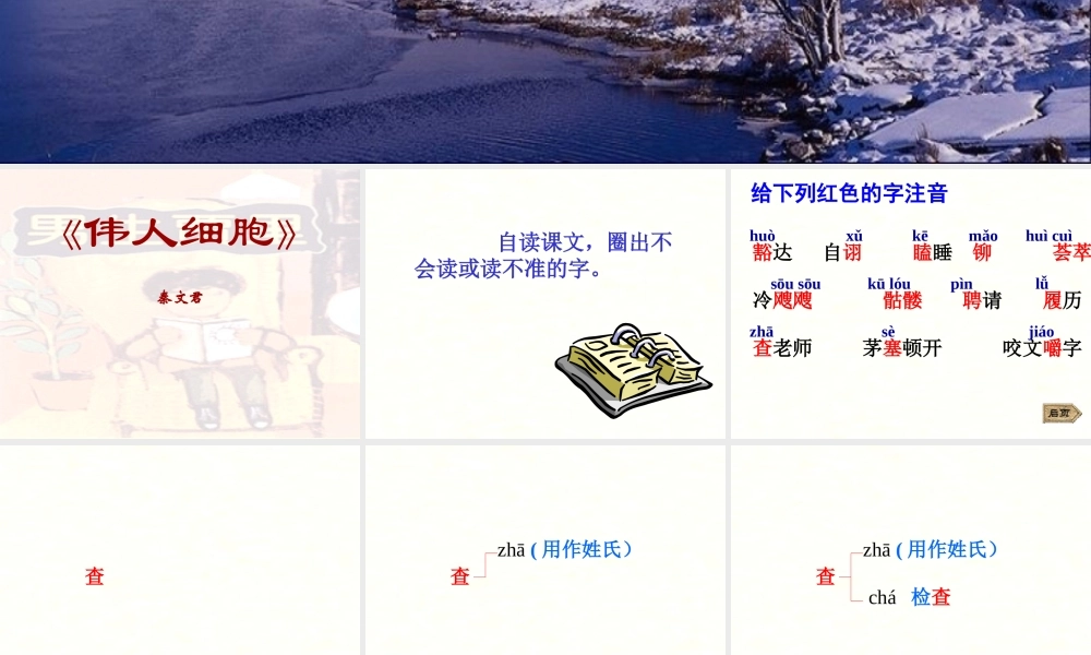 七年级语文伟人细胞课件 苏教版 课件