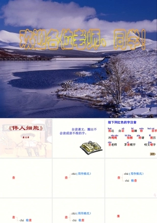 七年级语文伟人细胞课件 苏教版 课件