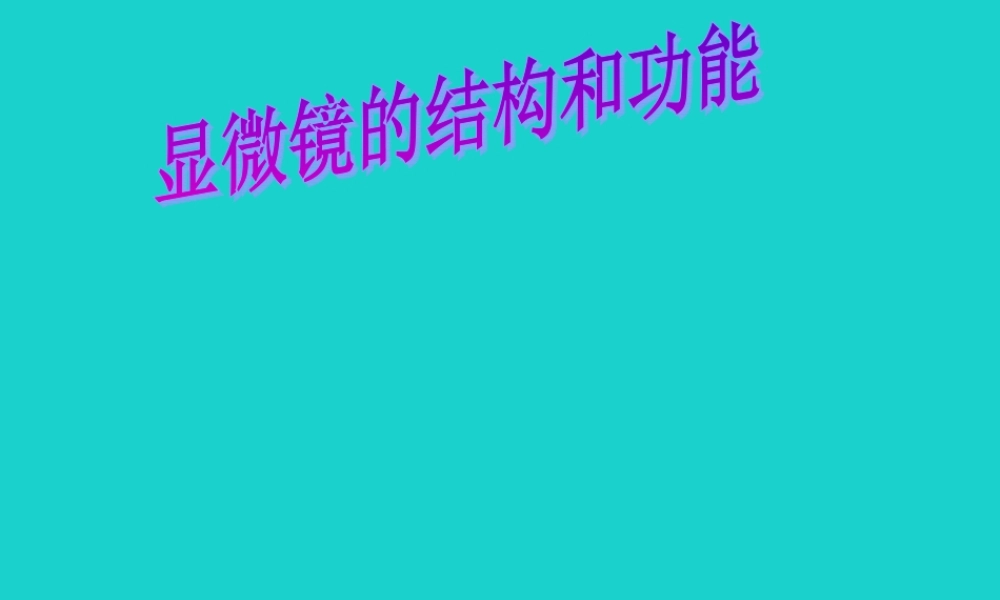 中学生物学实验的常用工具 显微镜的结构和功能课件 (新版)北京版 课件