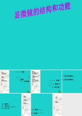 中学生物学实验的常用工具 显微镜的结构和功能课件 (新版)北京版 课件