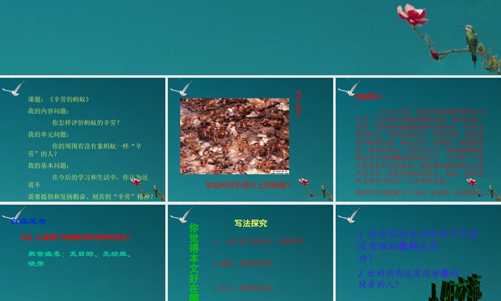 八年级语文上册(辛劳的蚂蚁)教学课件 北师大版 课件