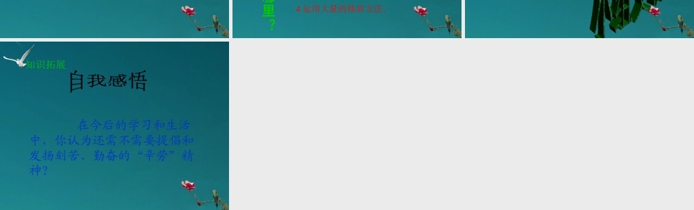 八年级语文上册(辛劳的蚂蚁)教学课件 北师大版 课件