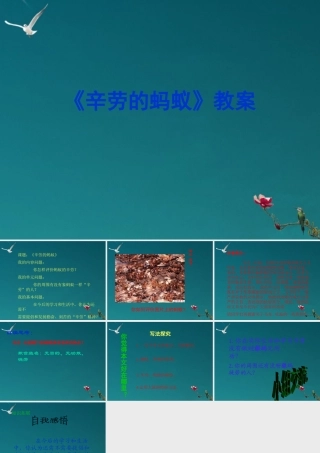 八年级语文上册(辛劳的蚂蚁)教学课件 北师大版 课件