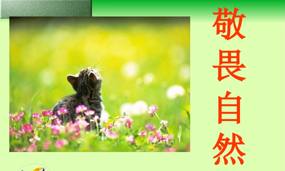 八年级语文敬畏自然课件 新课标 人教版 课件