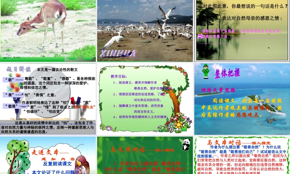 八年级语文敬畏自然课件 新课标 人教版 课件