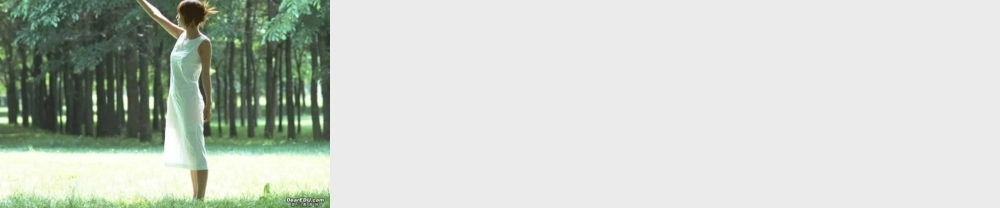 北师大版初三物理光现象 课件