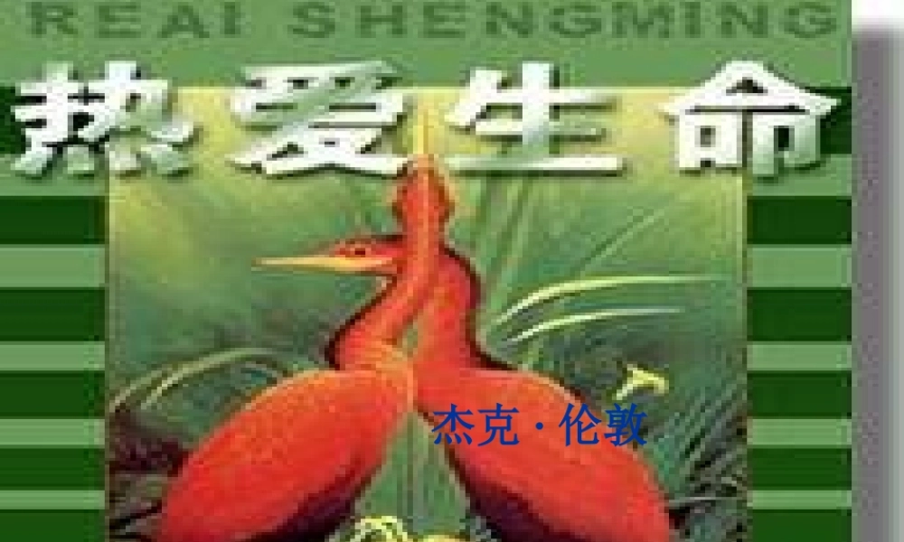 九年级语文关于(热爱生命)的课件