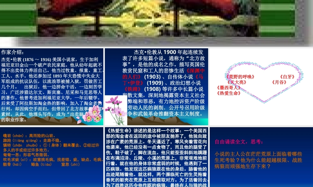 九年级语文关于(热爱生命)的课件