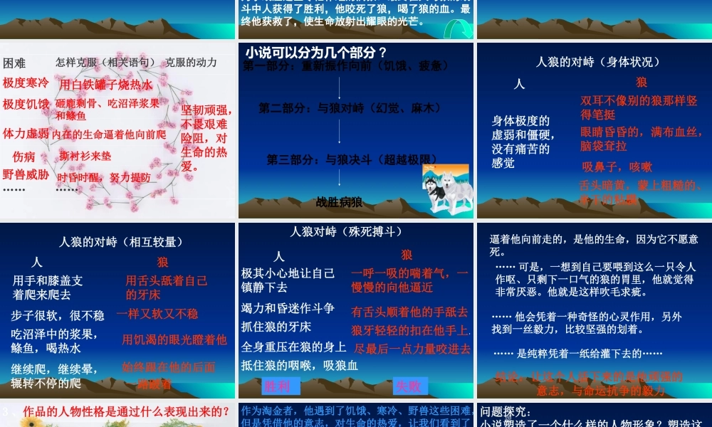 九年级语文关于(热爱生命)的课件