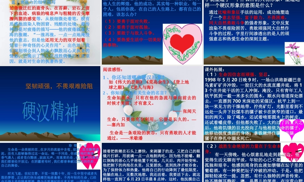 九年级语文关于(热爱生命)的课件