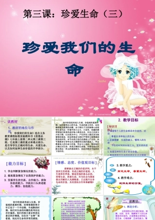 珍爱我们的生命课件