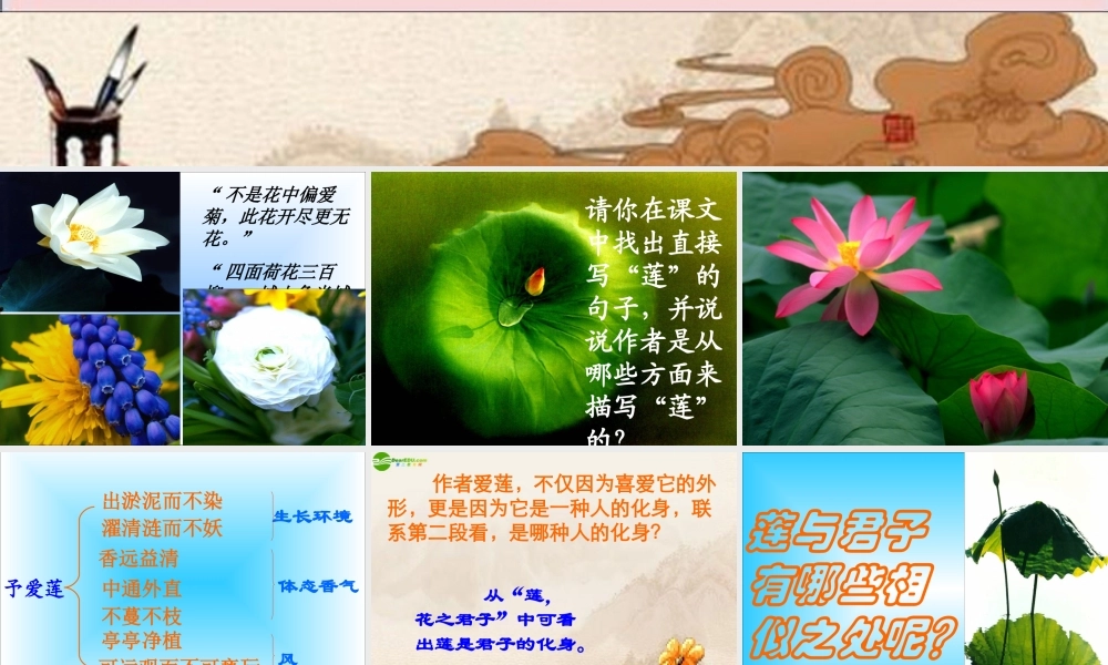 八年级语文下册 第9课(爱莲说)课件 北师大版 课件