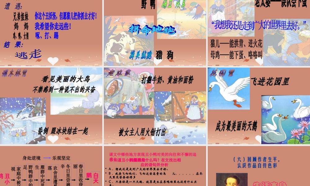 中学七年级语文下册 第3课(丑小鸭)课件 新人教版 课件