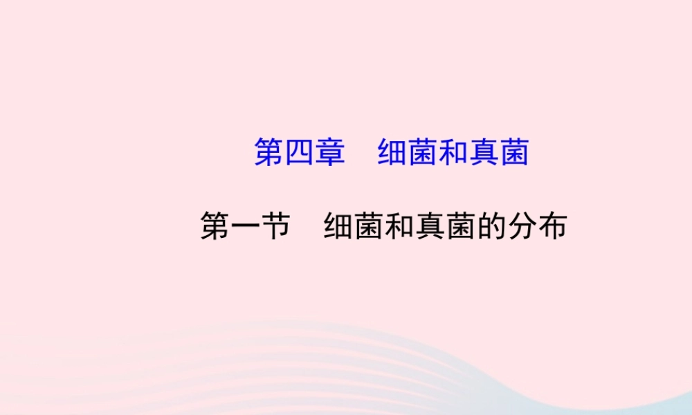 八年级生物上册 第五单元 第四章 第一节 细菌和真菌的分布课件 (新版)新人教版 课件