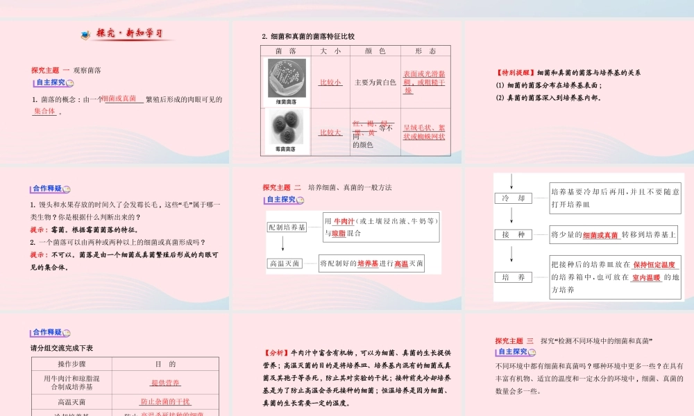 八年级生物上册 第五单元 第四章 第一节 细菌和真菌的分布课件 (新版)新人教版 课件