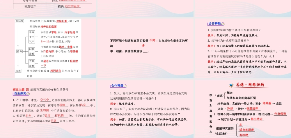 八年级生物上册 第五单元 第四章 第一节 细菌和真菌的分布课件 (新版)新人教版 课件