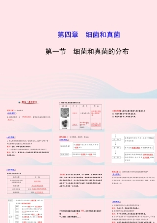 八年级生物上册 第五单元 第四章 第一节 细菌和真菌的分布课件 (新版)新人教版 课件