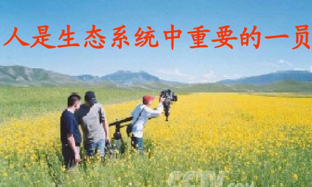 中学七年级生物上册 人是生态系统中一员课件 新人教版 课件