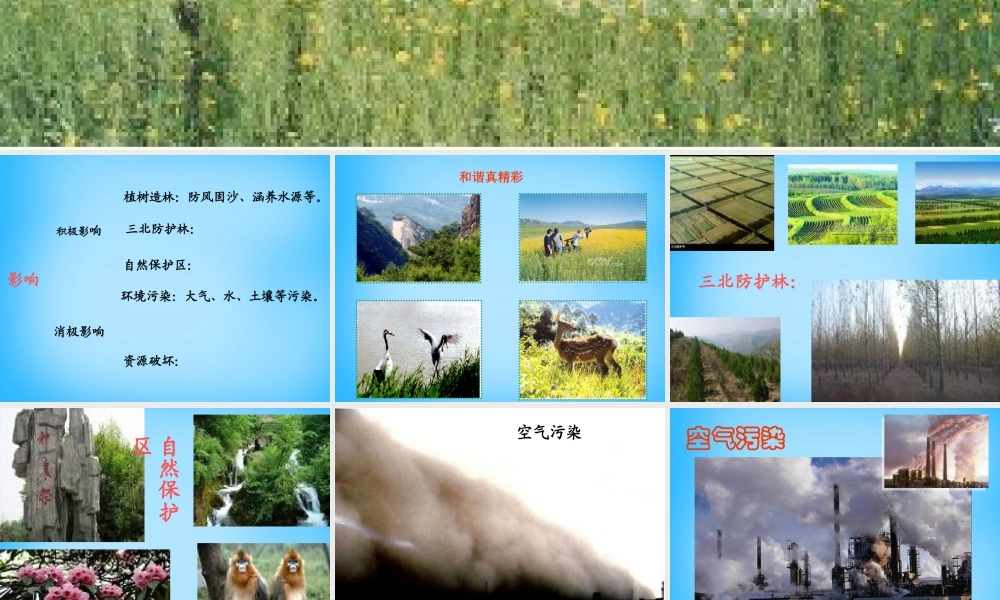 中学七年级生物上册 人是生态系统中一员课件 新人教版 课件