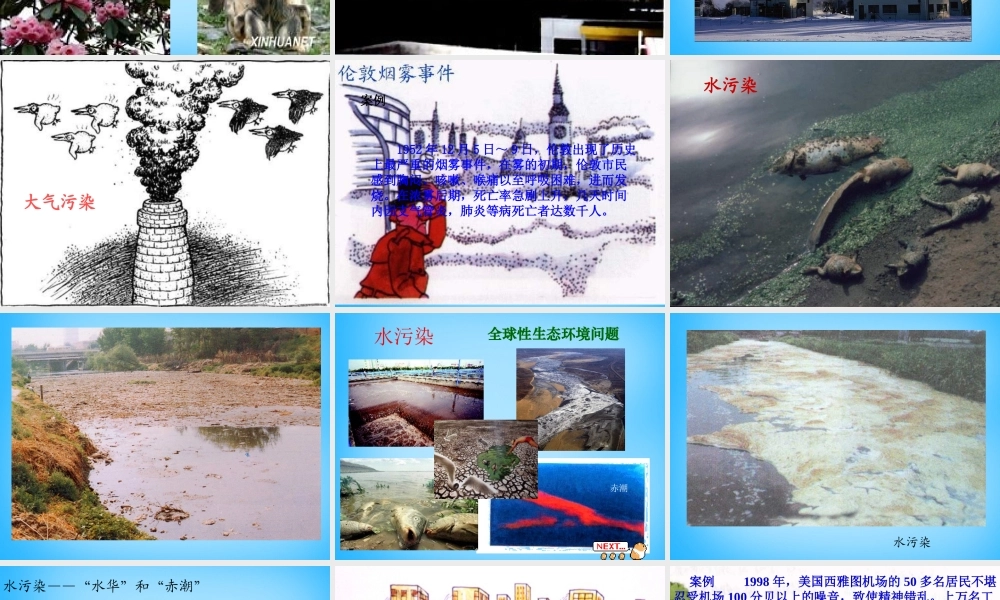 中学七年级生物上册 人是生态系统中一员课件 新人教版 课件